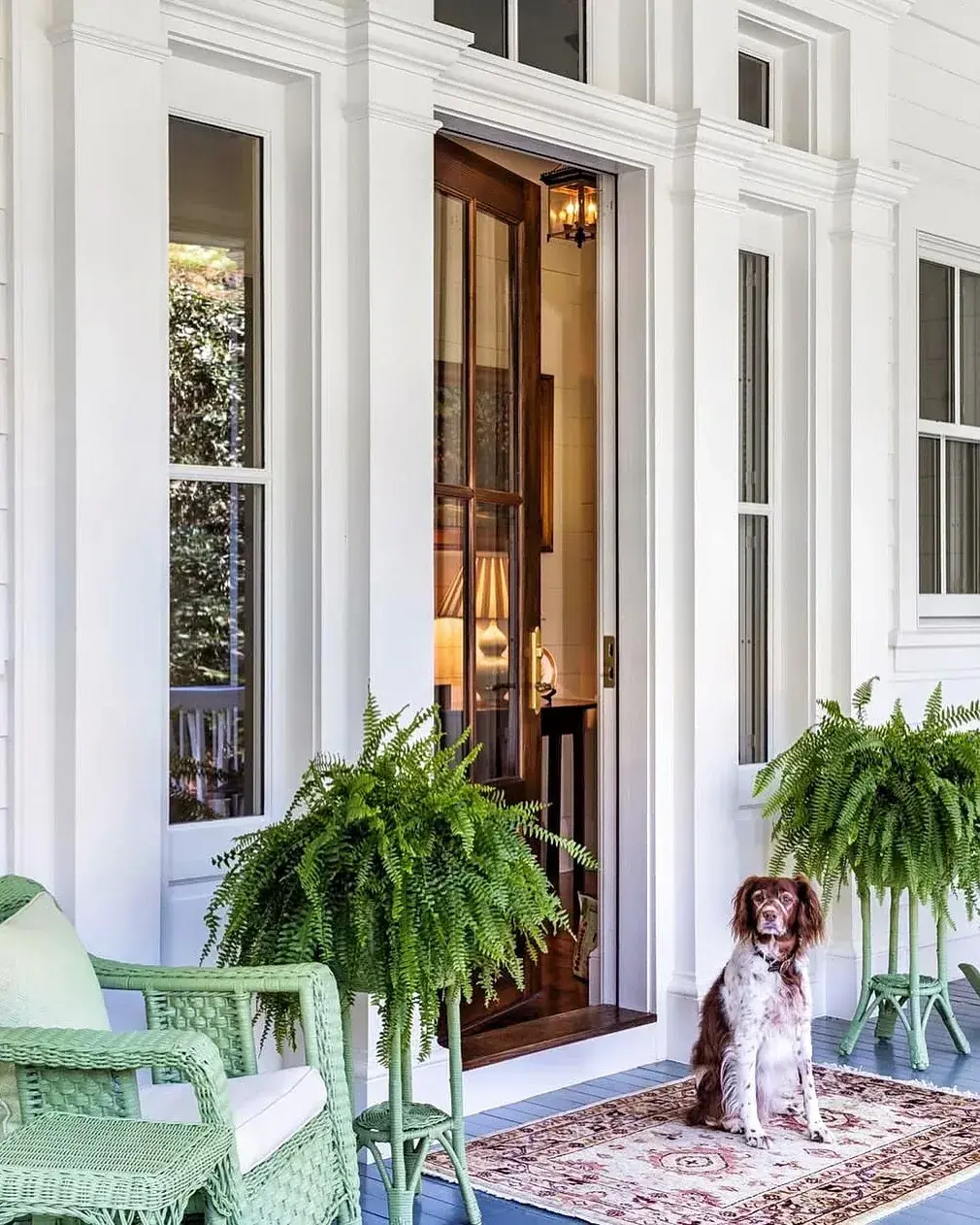 White porch with green wicker chairs, tall ferns on plant stands, a dog and a patterned rug by the open door