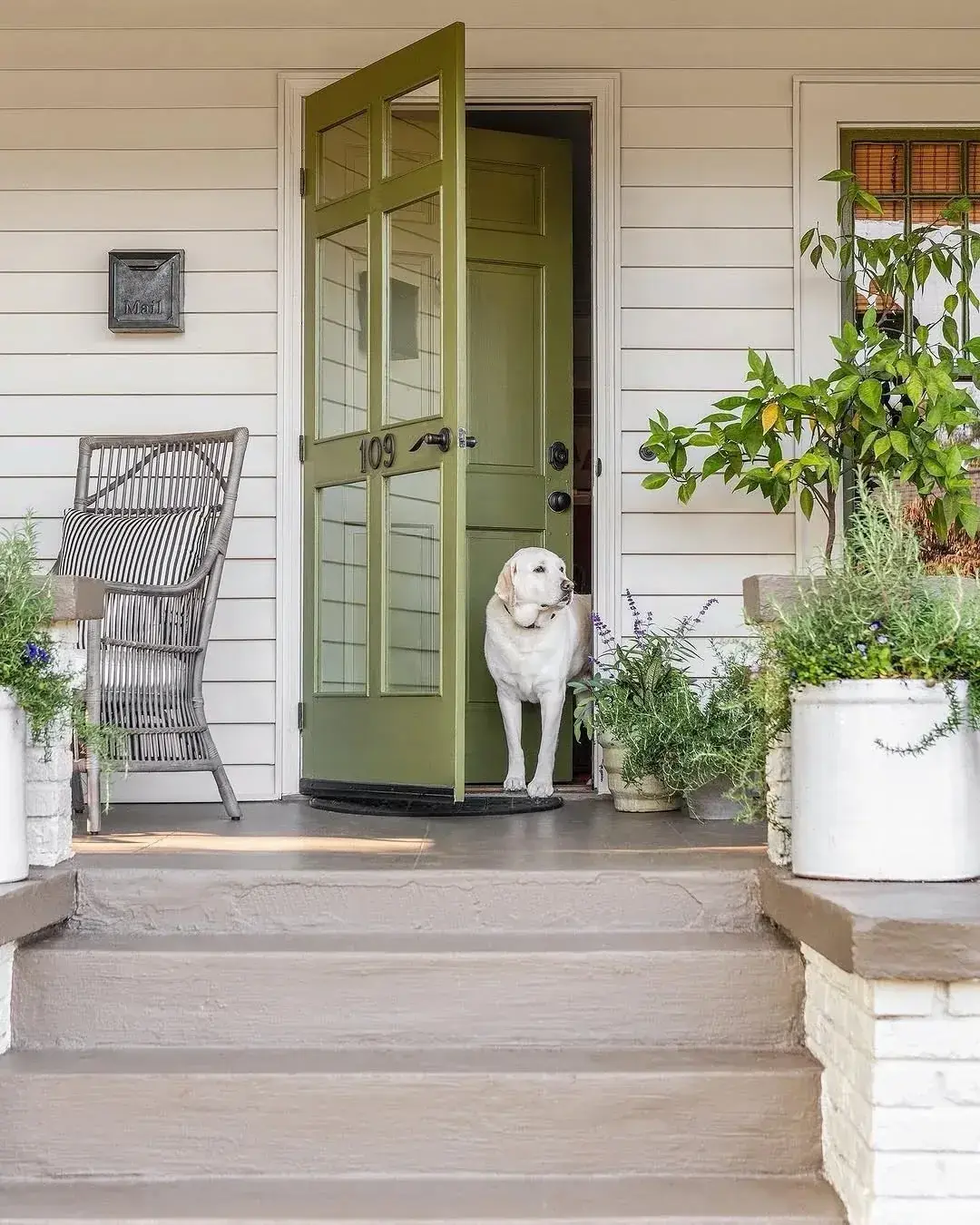 Mid olive glazed door standing open on white weatherboard with dog in doorway