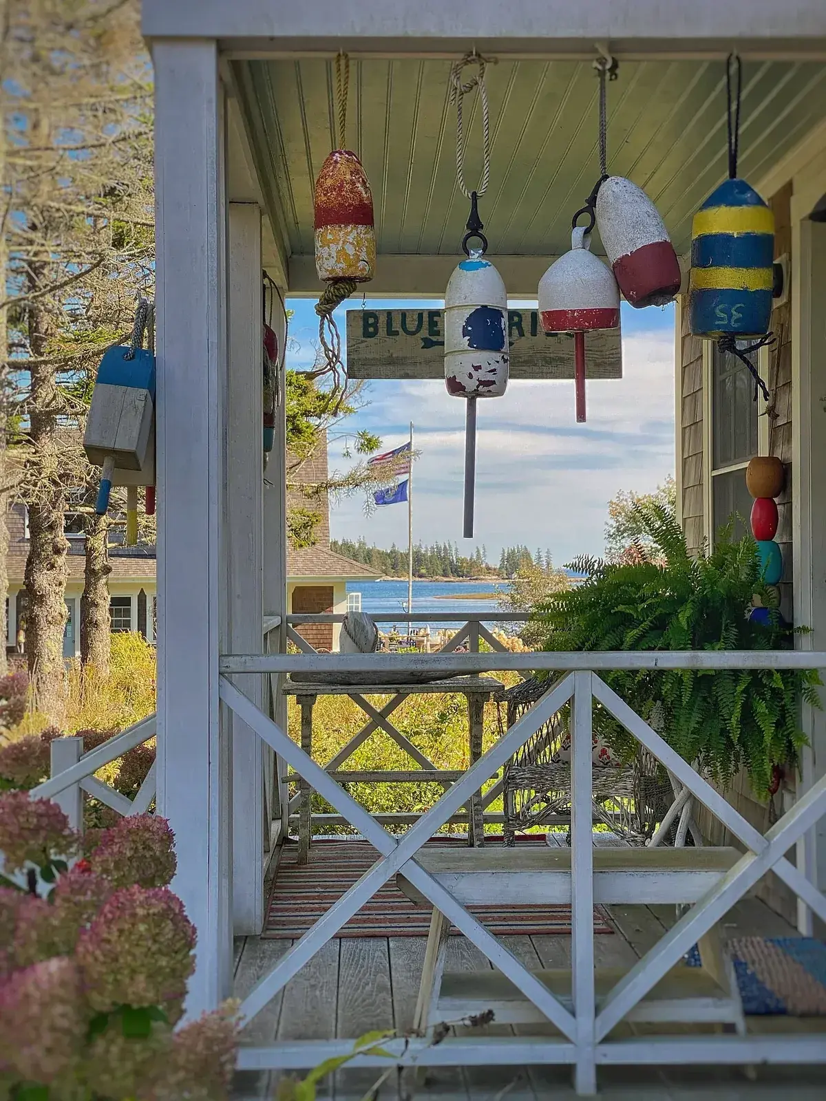 White railed porch with hanging fishing buoys, a large green fern in a pot, and drying pink hydrangea heads