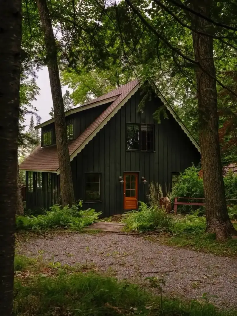 Dark green cabin with vertical board and batten cladding standing among tall trees