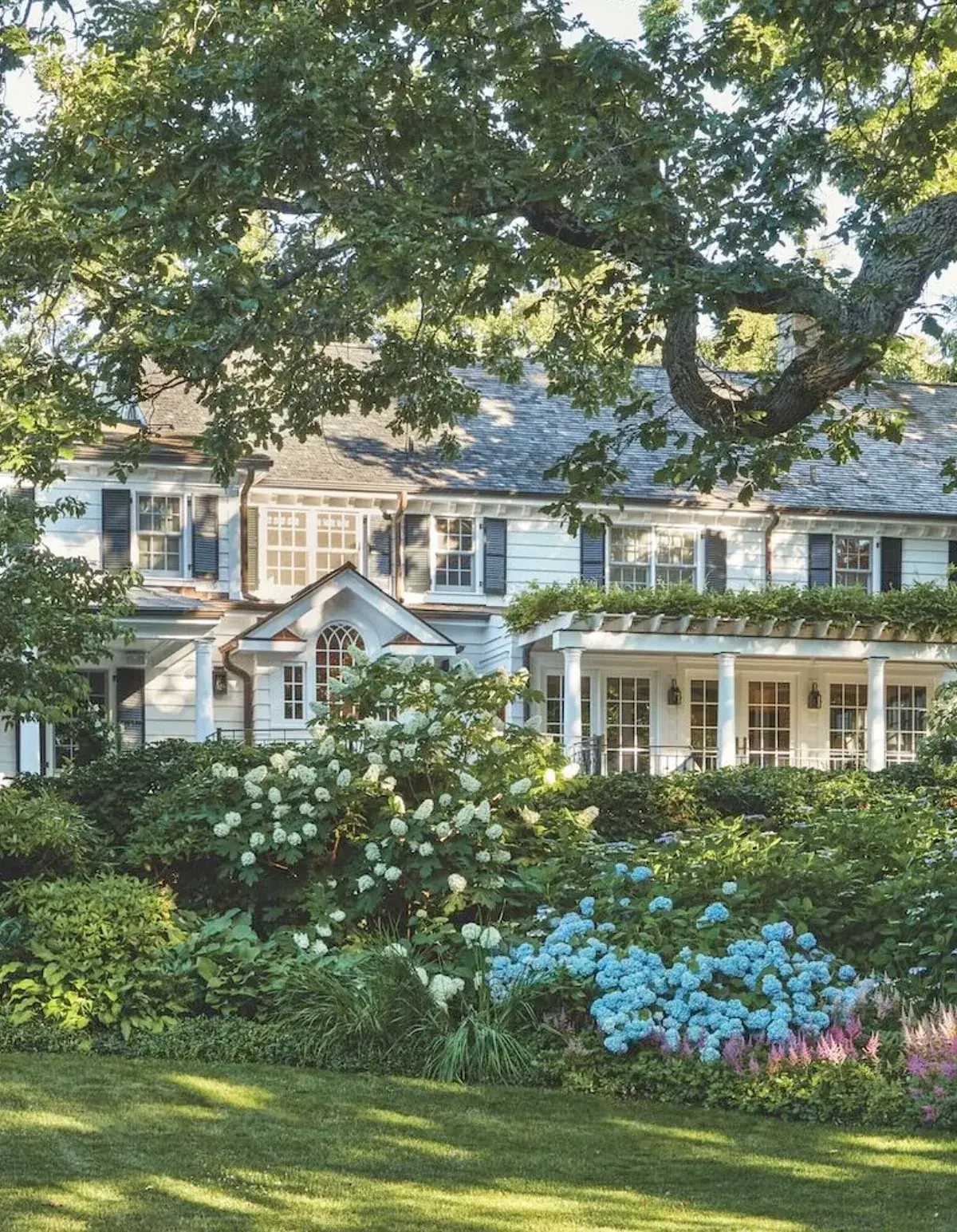 Shingled colonial house with blue hydrangeas planted in a garden bed beside it