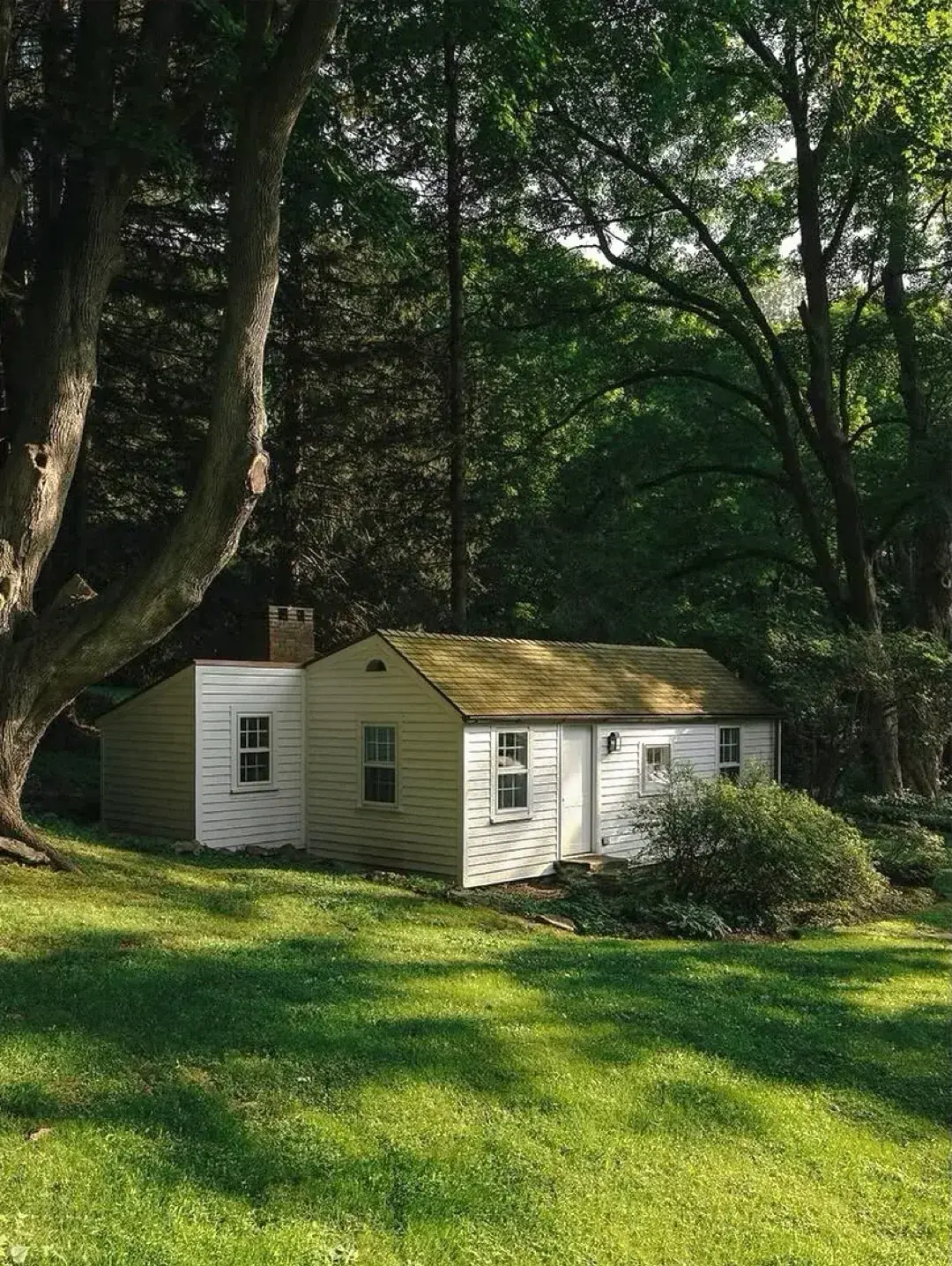 Tiny white boarded cabin set in woodland with a plain door, small windows and a sloping lawn