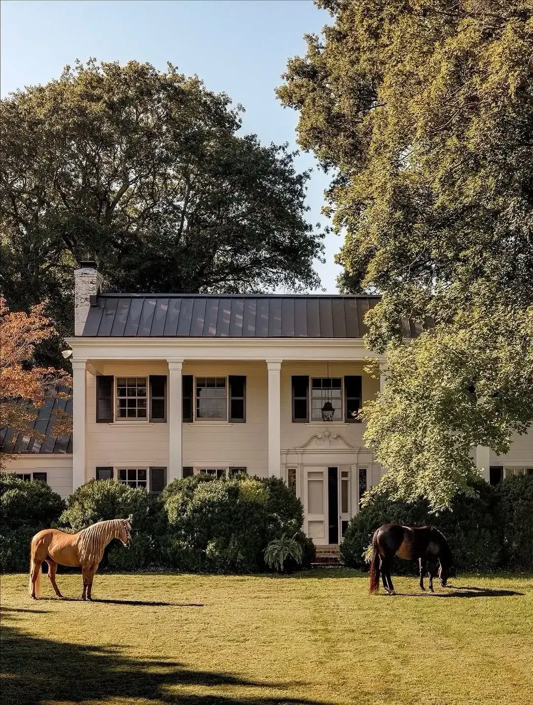 Blush stucco Greek Revival house with tall white columns and horses grazing nearby