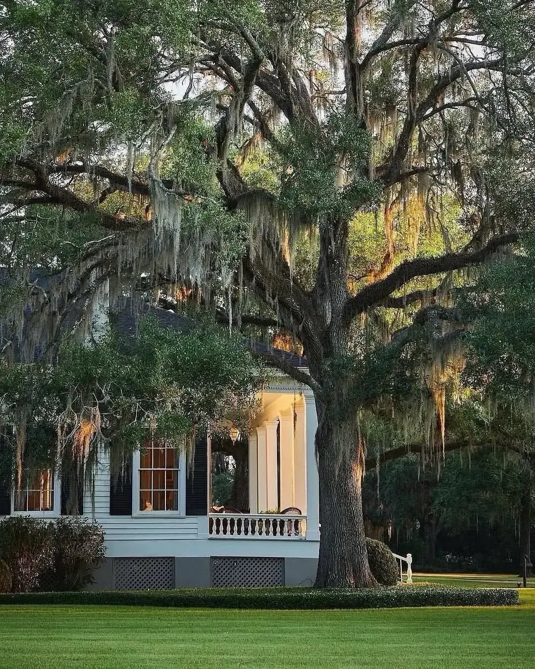 White house with dark shutters and a spindle balustrade porch under a moss covered oak