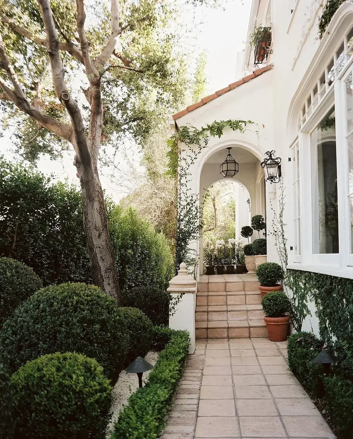 White stucco arched entry with terracotta pots of boxwood topiary and a hanging lantern