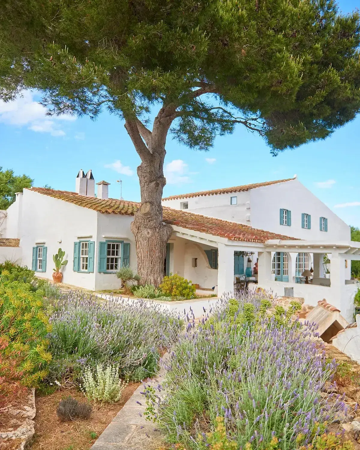 White Mediterranean villa with teal shutters, a loggia and a lavender garden in front