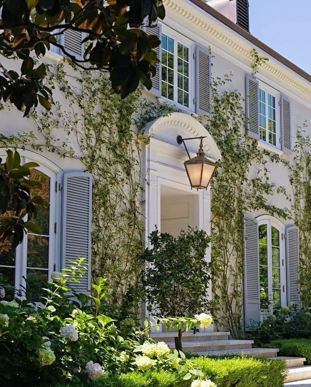 White stucco front with climbing vines, blue shutters and stone steps