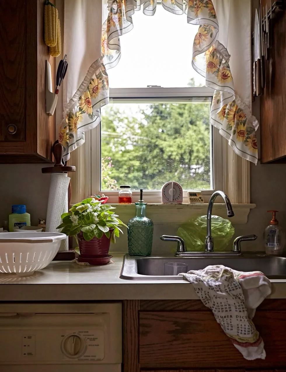 Older stainless inset sink with sunflower curtains and a crowded windowsill