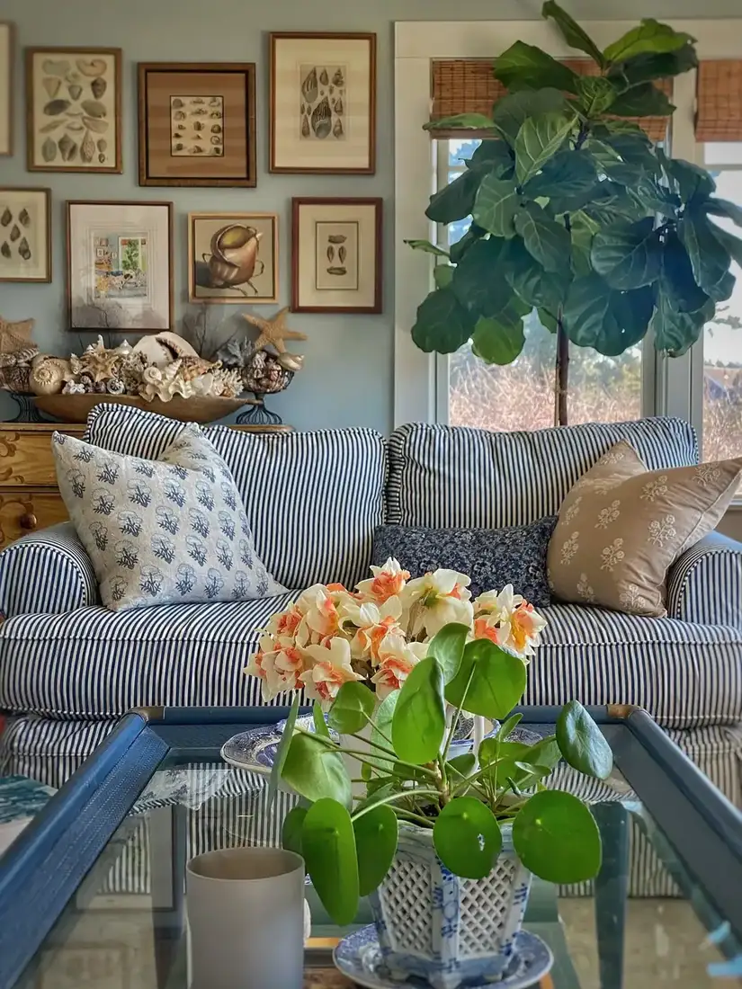 Blue and white striped sofa with coastal decor, shell collection and sea prints behind