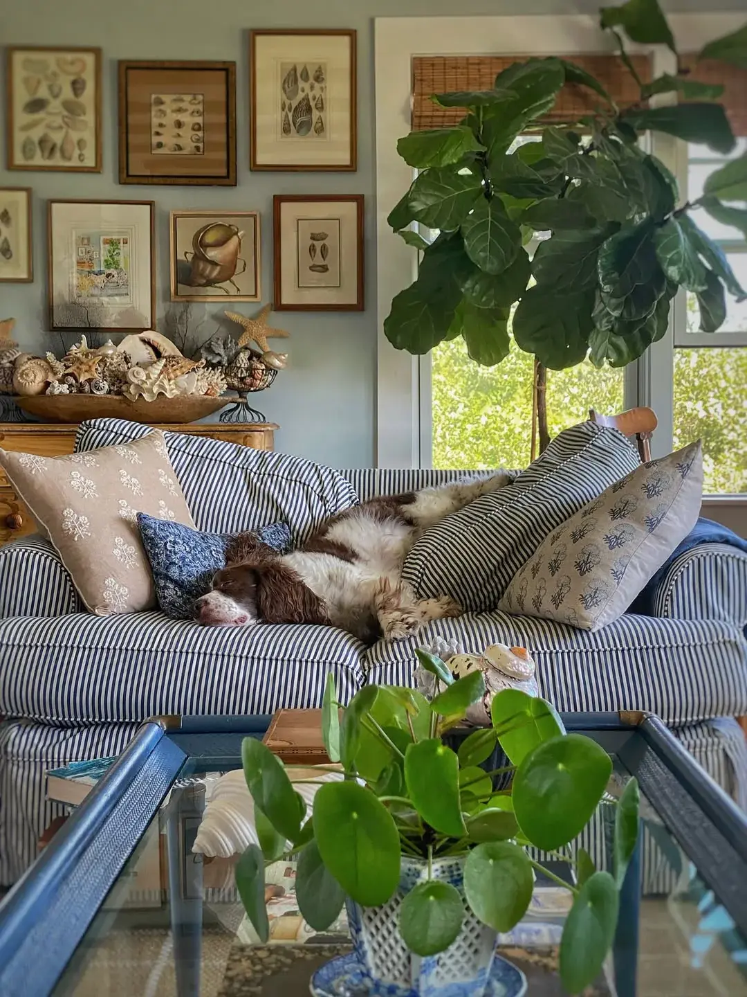 Ticking stripe sofa with block print, botanical and embroidered cushions in one blue palette